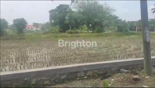 image TANAH RESIDENSIAL LUAS DI CERME KIDUL, GRESIK (2)