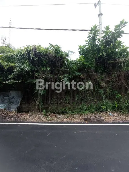 image TANAH STRATEGIS COCOK UNTUK RESTO ATAU KOST DI RENON (4)