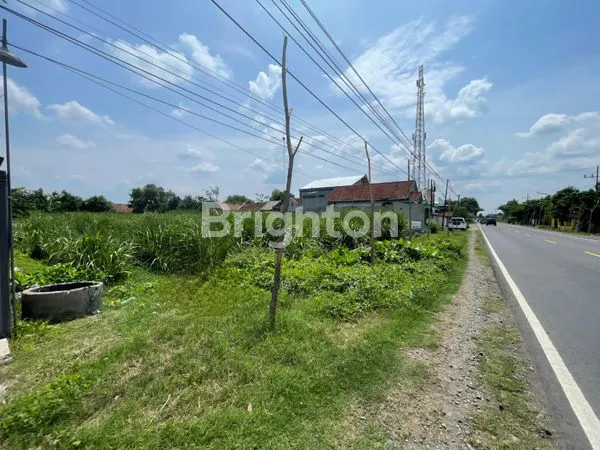 [A5071] TANAH KAVLING PAPAR KEDIRI KERTOSONO