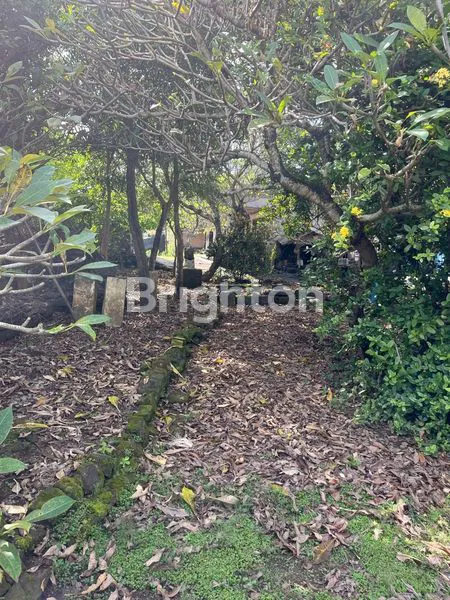 image TANAH LOKASI SANGAT STRATEGIS DEKAT PANTAI MENGENING (2)