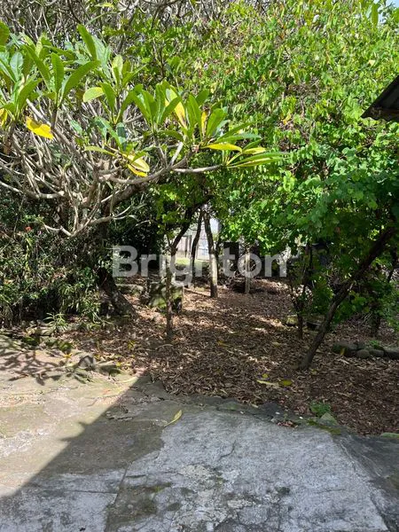 image TANAH LOKASI SANGAT STRATEGIS DEKAT PANTAI MENGENING (3)