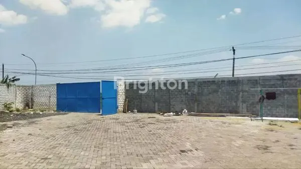 image GUDANG RAYA NGASIN BALONG PANGGANG GRESIK (2)