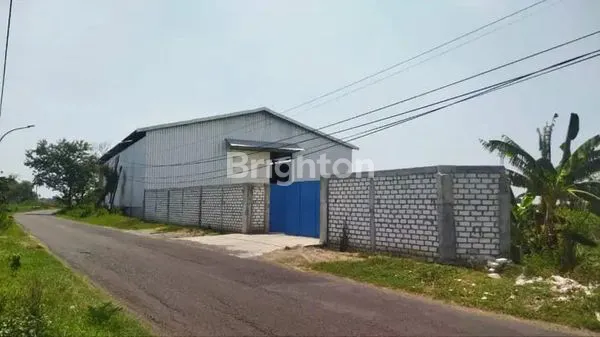 image GUDANG RAYA NGASIN BALONG PANGGANG GRESIK (3)