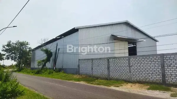 image GUDANG RAYA NGASIN BALONG PANGGANG GRESIK (6)