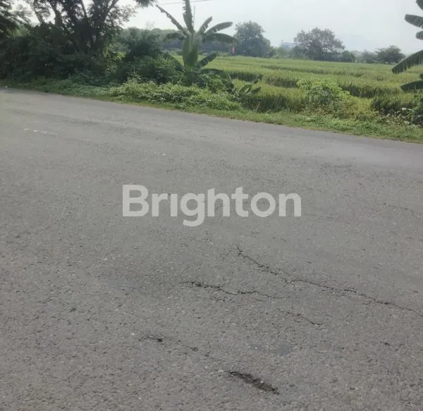 image JUAL TANAH PERSEGI DLANGGU MOJOKERTO (5)