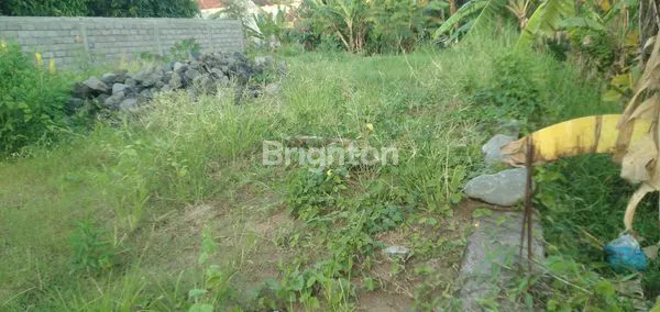 image TANAH DATAR LUAS NYAMAN DAN TENANG DAERAH DENPASAR SELATAN (6)