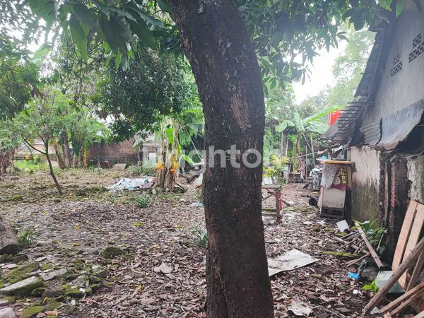 image TANAH TENGAH KOTA (4)