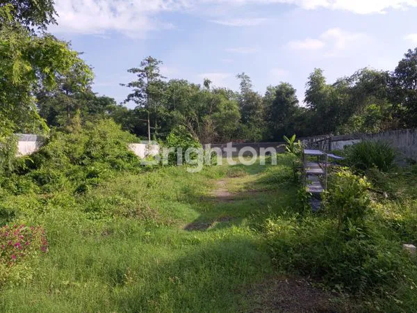 image TANAH LUAS DI TUGUREJO KEDIRI (4)