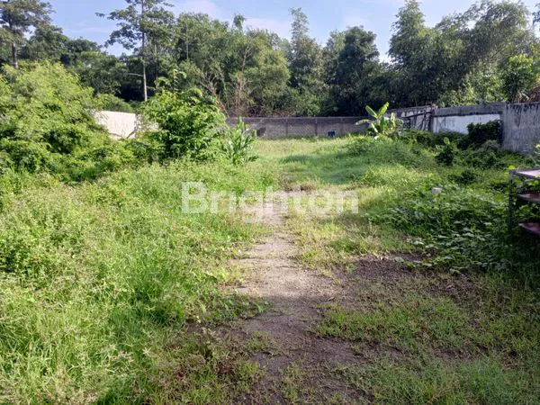 image TANAH LUAS DI TUGUREJO KEDIRI (3)