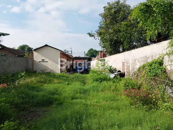 image TANAH LUAS DI TUGUREJO KEDIRI (6)