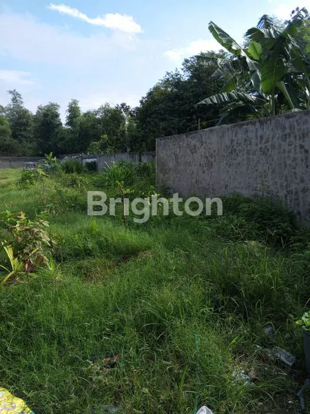 image TANAH LUAS DI TUGUREJO KEDIRI (7)
