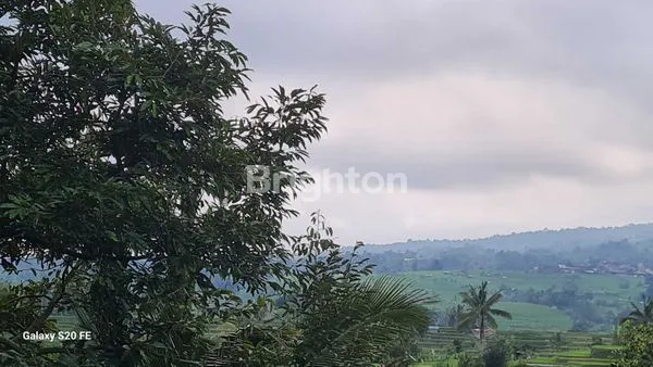 image  TANAH SEWA DI  JATILUWIH VIEW SAWAH TERASERING (4)