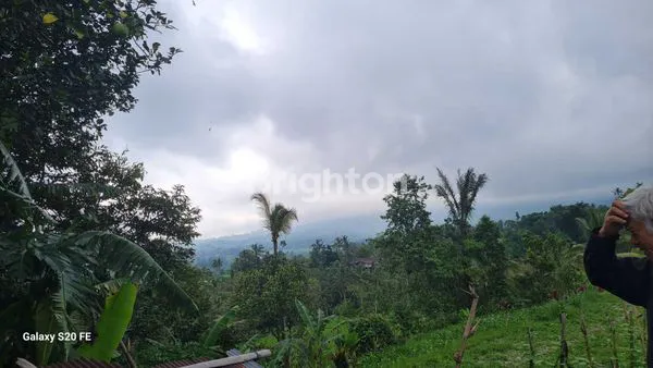 TANAH SEWA DI  JATILUWIH VIEW SAWAH TERASERING