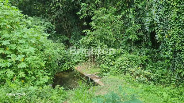 image  TANAH SEWA DI  JATILUWIH VIEW SAWAH TERASERING (3)