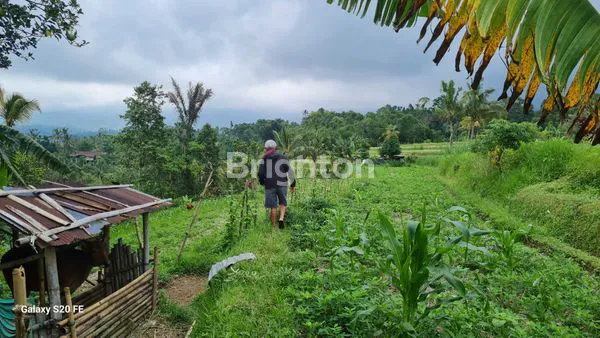 image  TANAH SEWA DI  JATILUWIH VIEW SAWAH TERASERING (5)
