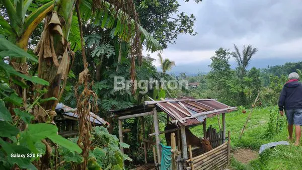 image  TANAH SEWA DI  JATILUWIH VIEW SAWAH TERASERING (7)