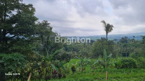 image  TANAH SEWA DI  JATILUWIH VIEW SAWAH TERASERING (8)