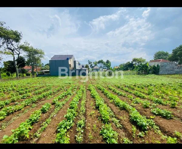 image TANAH / KAVLING ,KOMPLEK PERUMAHAN KATUMIRI CIHANJUANG , KEC.PARONGPONG , KABUPATEN BANDUNG BARAT , JAWA BARAT 40559 (2)