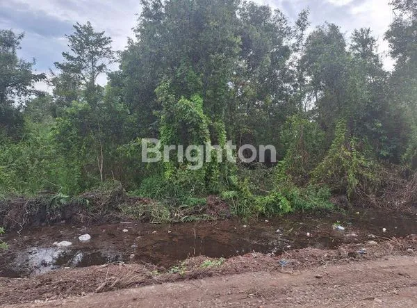 image JUAL TANAH 520M2 BANYUASIN SUMSEL INDONESIA HARGA 800 JUTA (3)