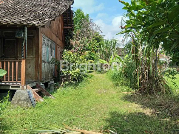 image TANAH DI AREA BISNIS KALASAN (7)