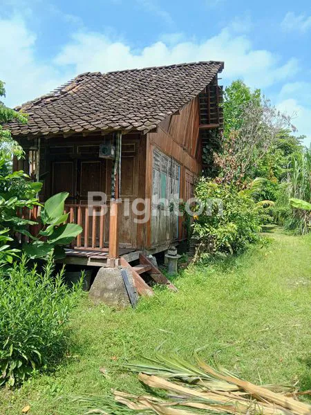 image TANAH DI AREA BISNIS KALASAN (5)