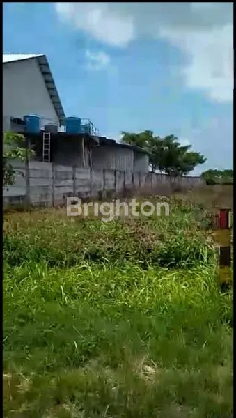 Gambar Property TANAH DI GRESIK