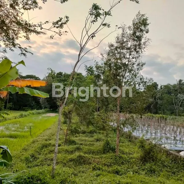 image TANAH DIJUAL DEKAT RSUD SLEMAN, YOGYAKARTA (3)