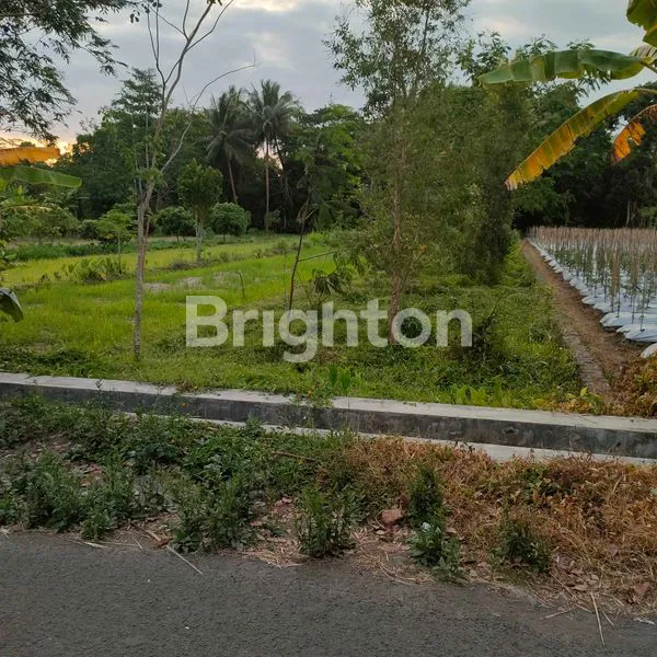 image TANAH DIJUAL DEKAT RSUD SLEMAN, YOGYAKARTA (1)