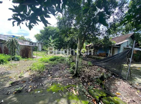 image TANAH STRATEGIS DI AREA SEKAR TUNJUNG DENPASAR TIMUR BALI (6)