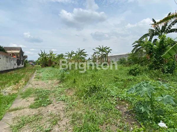 image TANAH PEKARANGAN SONOSEWU (3)