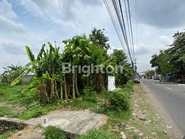 image TANAH PEKARANGAN SONOSEWU (4)