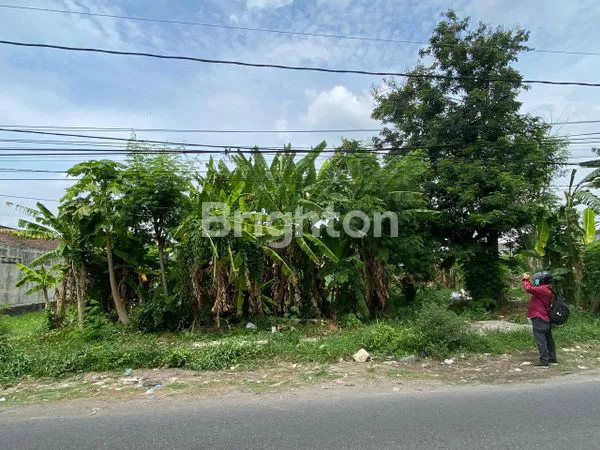 image TANAH PEKARANGAN SONOSEWU (5)