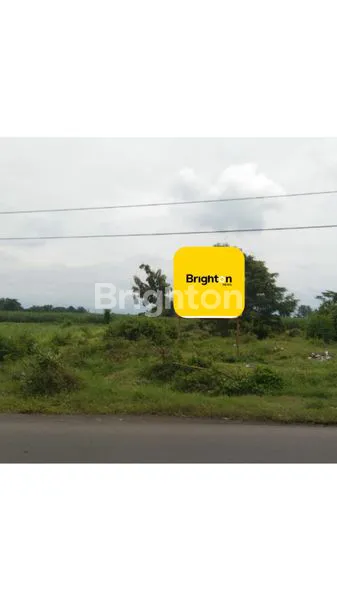 DIJUAL TANAH NOL JALAN RAYA  LOKASI PAGU KAB. KEDIRI