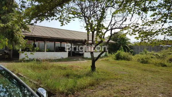 image TANAH O JALAN PATRANG JEMBER (3)