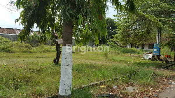 image TANAH O JALAN PATRANG JEMBER (2)