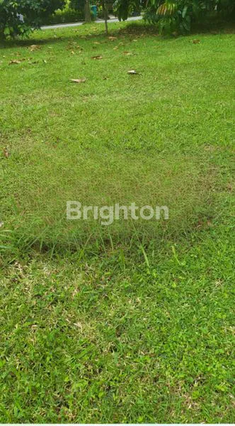 image KAVLING THE EMINENT BSD (1)