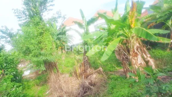 image TANAH STRATEGIS DI TUKAD BADUNG UTAMA - POTENSI INVESTASU DI JANTUNG KAWASAN BISNIS (1)