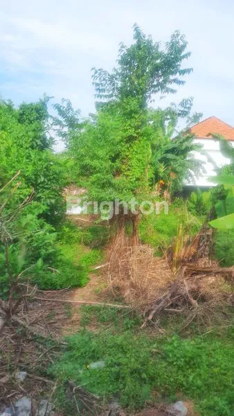 image TANAH STRATEGIS DI TUKAD BADUNG UTAMA - POTENSI INVESTASU DI JANTUNG KAWASAN BISNIS (2)