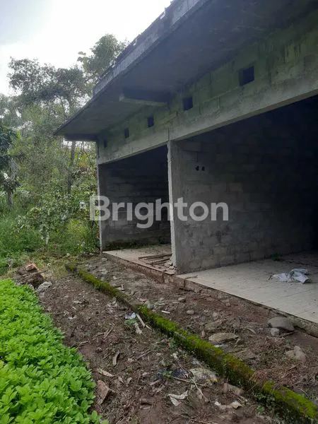 image TANAH KEBUN UNTUK TEMPAT WISATA ALAM (4)