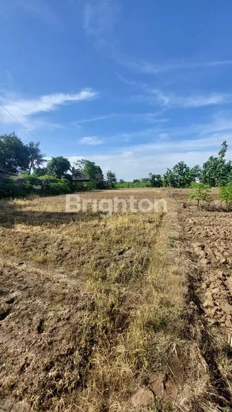 TANAH JL RAYA BABELAN BEKASI COCOK UNTUK PERUMAHAN