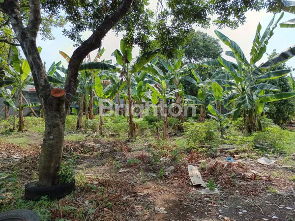 image TANAH JATISAMPURNA BEKASI  (4)