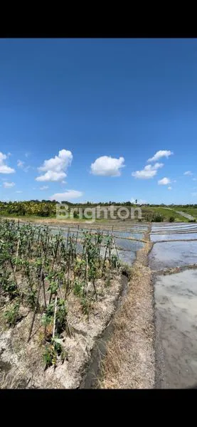 image TANAH DENGAN PEMANDANGAN INDAH DAN SUASANA YANG NYAMAN  (4)