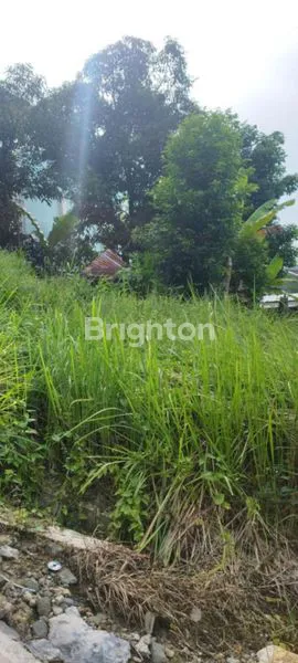 image TANAH KAPLING TENGAH KOTA SAMARINDA (2)