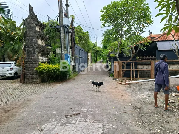 image TANAH LANGKA SUPER MURAH DAN STARTEGIS DI GEDONG SARI KOMPLEK VILLA  NUSA DUA (3)