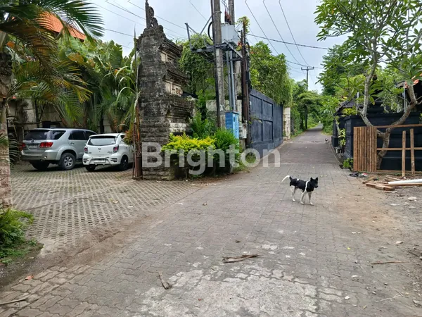 image TANAH LANGKA SUPER MURAH DAN STARTEGIS DI GEDONG SARI KOMPLEK VILLA  NUSA DUA (6)