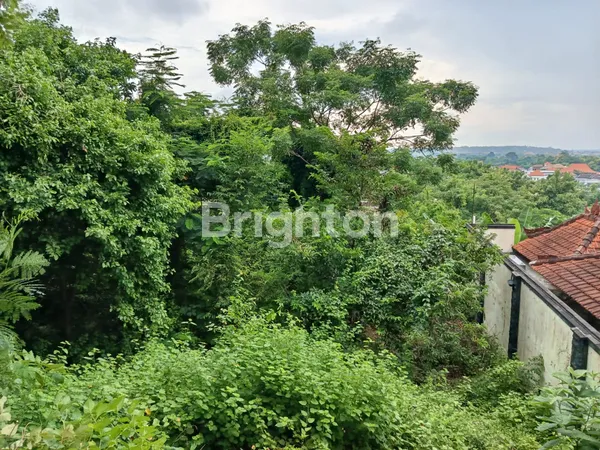 image TANAH LANGKA SUPER MURAH DAN STARTEGIS DI GEDONG SARI KOMPLEK VILLA  NUSA DUA (8)