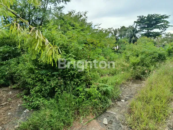 image TANAH  SUPER MURAH DAN STARTEGIS DI  NUSA DUA (4)