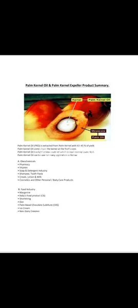 image PABRIK PKO ( PALM KERNEL OIL) (7)