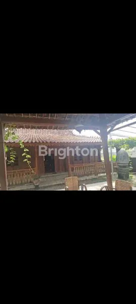 image RUMAH JOGLO DI MOJOROTO (4)