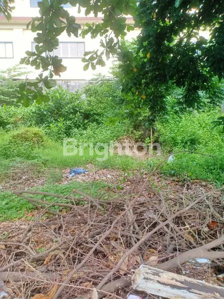 image TANAH LANGKA BY PASS NGURAH RAI (4)